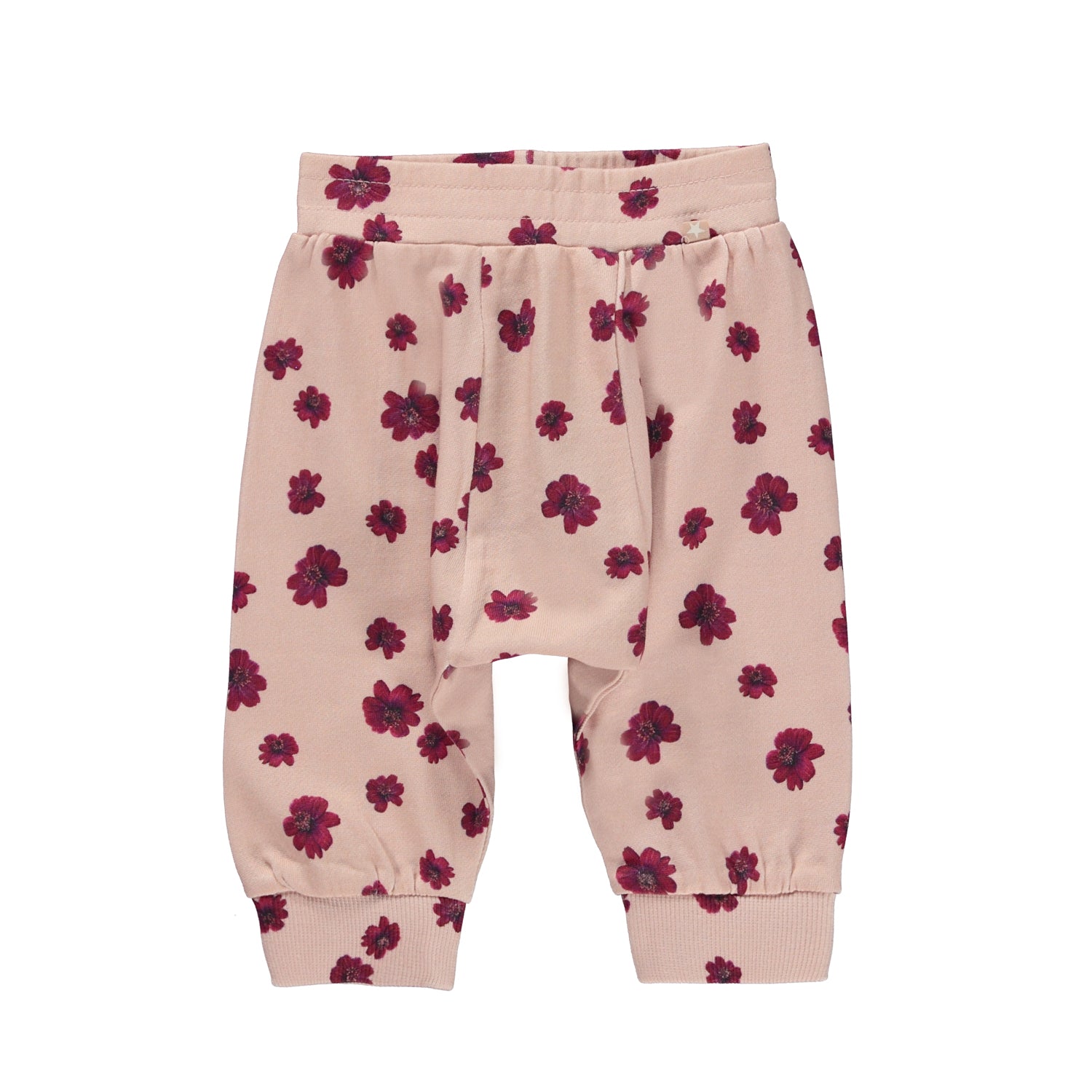 Chocolate Daisy Sweatsuit Set