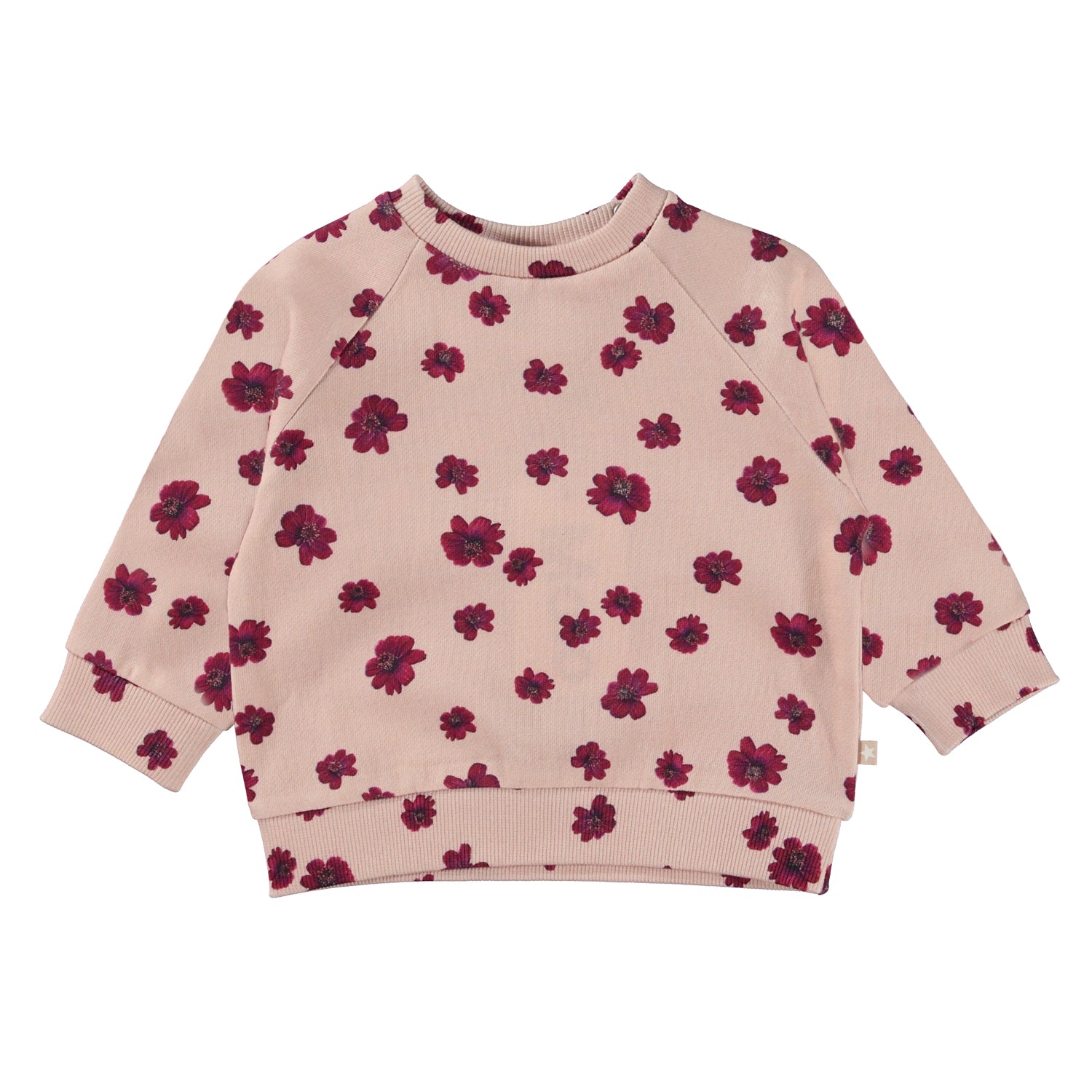 Chocolate Daisy Sweatsuit Set